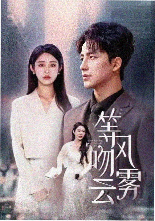 长夜回声剧集海报
